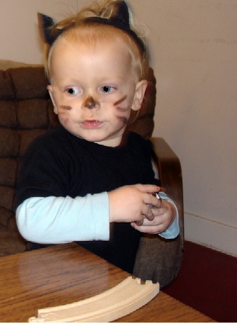 Cat toddler costume