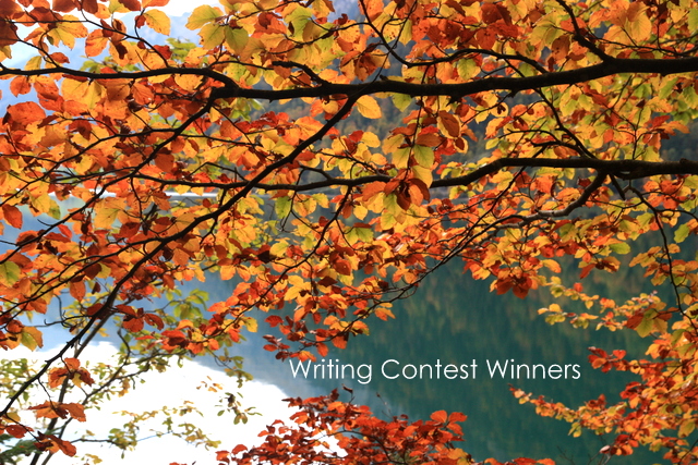 Writing Contest Winners